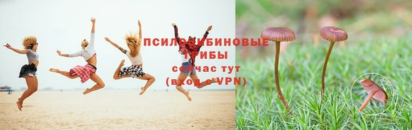 дживик Няндома