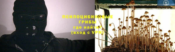 крисы Абдулино