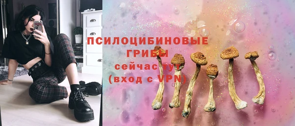 ПСИЛОЦИБИНОВЫЕ ГРИБЫ Абинск