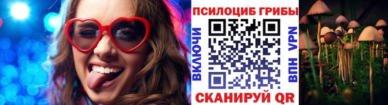 Галлюциногенные грибы Psilocybe  omg ССЫЛКА  Салехард  закладки 